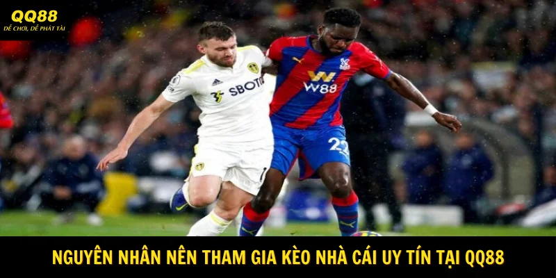 nguyen-nhan-nen-tham-gia-keo-nha-cai-uy-tin-tai-qq88webp